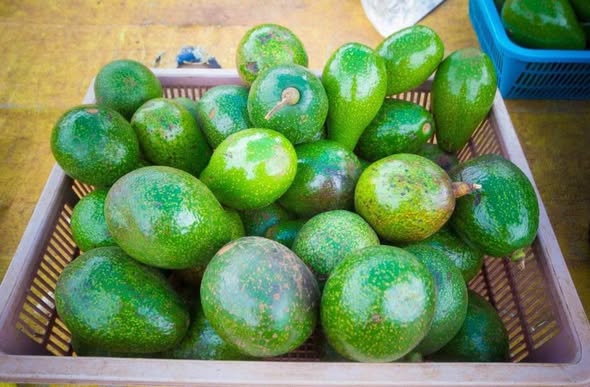 A picture of Fruits vegetables