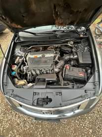 A picture of Clean Honda accord Belgium standard Buy and drive nothing to