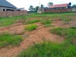 A picture of KAWEMPE KAGOMA PLOTS ON SALE 48m READY TITLES JUST 7