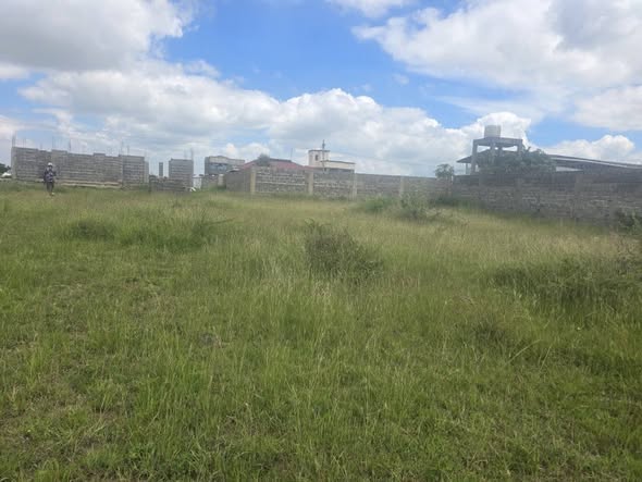 residential plots
