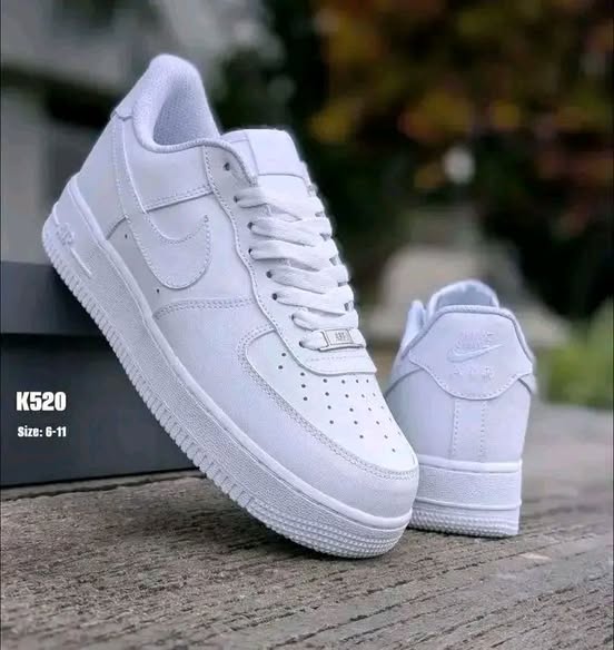 A picture of Shoe s