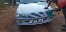A picture of Premmio for sale call me on 256751331103 or what app