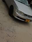 A picture of Carina Ti