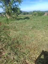 A picture of 100 by 100 ft on Mukono katosi road Tarmac road