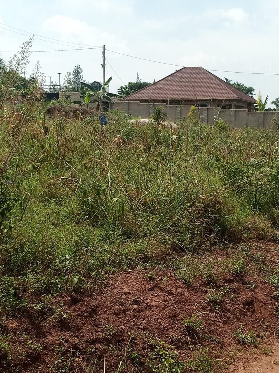 A picture of PLOTS OF TITTLED LAND ONSALE