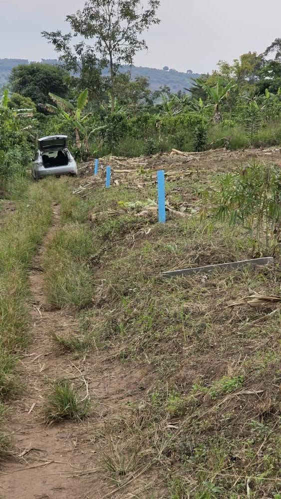 A picture of 0709106274 PLOTS 6 5M UGX 50X100FT FREE INSPECTIONS PLOTS ARE