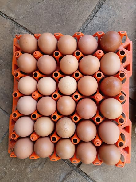 wholesale