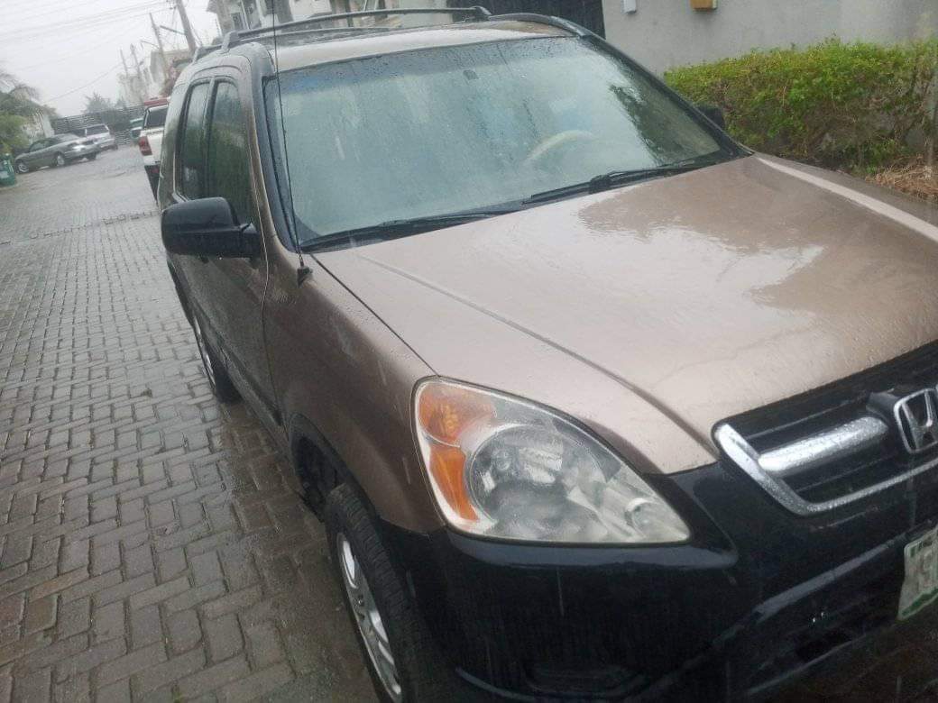 A picture of 2003 Honda cr v