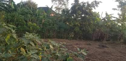 A picture of Am selling Agreement Plot 50ft by 50ft 12Million after YMCA