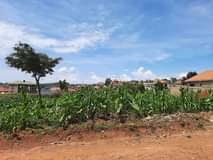 A picture of LAND DEAL IN KIRA NSASA AT UGX56M