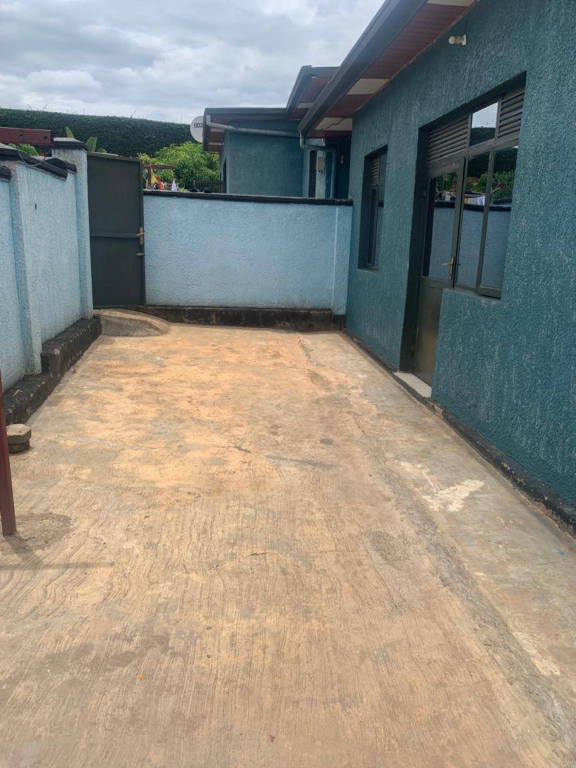 houses for rent