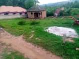 A picture of Good plot for rental business at kawanda