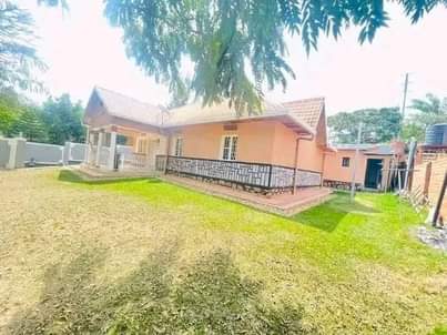 A picture of Inzunziza cyane igurishwa kibagabaga ahantu heza cyane
