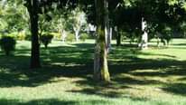 A picture of Land for sell entebbe garuga road near katomi kingdom resort