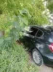 A picture of Bmw