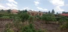 A picture of Quickesssst Sale 100by100 plot 25m Gayaza Manyangwa St Juliana Ready