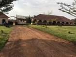 A picture of School on a Quick Sell