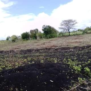 makutano plots