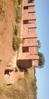 stands
