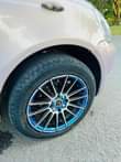 A picture of Vitz