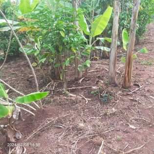 A picture of Land 