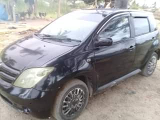 A picture of IST
