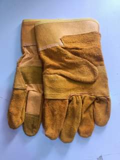 gloves
