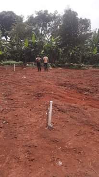 A picture of Plots land Rentals and houses for sale