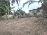 A picture of VINAUZWA MILIONI 23 00 000