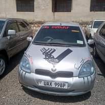 A picture of Vitz