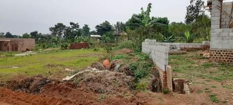 A picture of Cheap plots