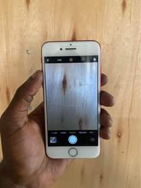 A picture of iPhone 7plain