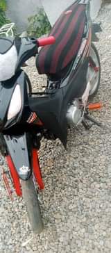 A picture of Royal rose