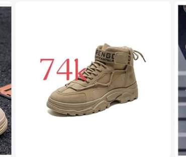 A picture of Shoe s
