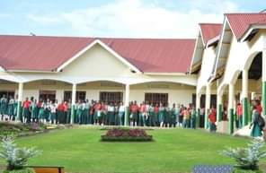 A picture of Commercial Property for Sale at Mukono Town Center Uganda Type