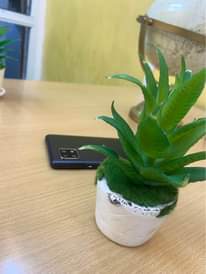 A picture of Aquas sense 5g