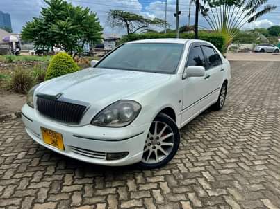 A picture of Brevis for sale call 0657633355