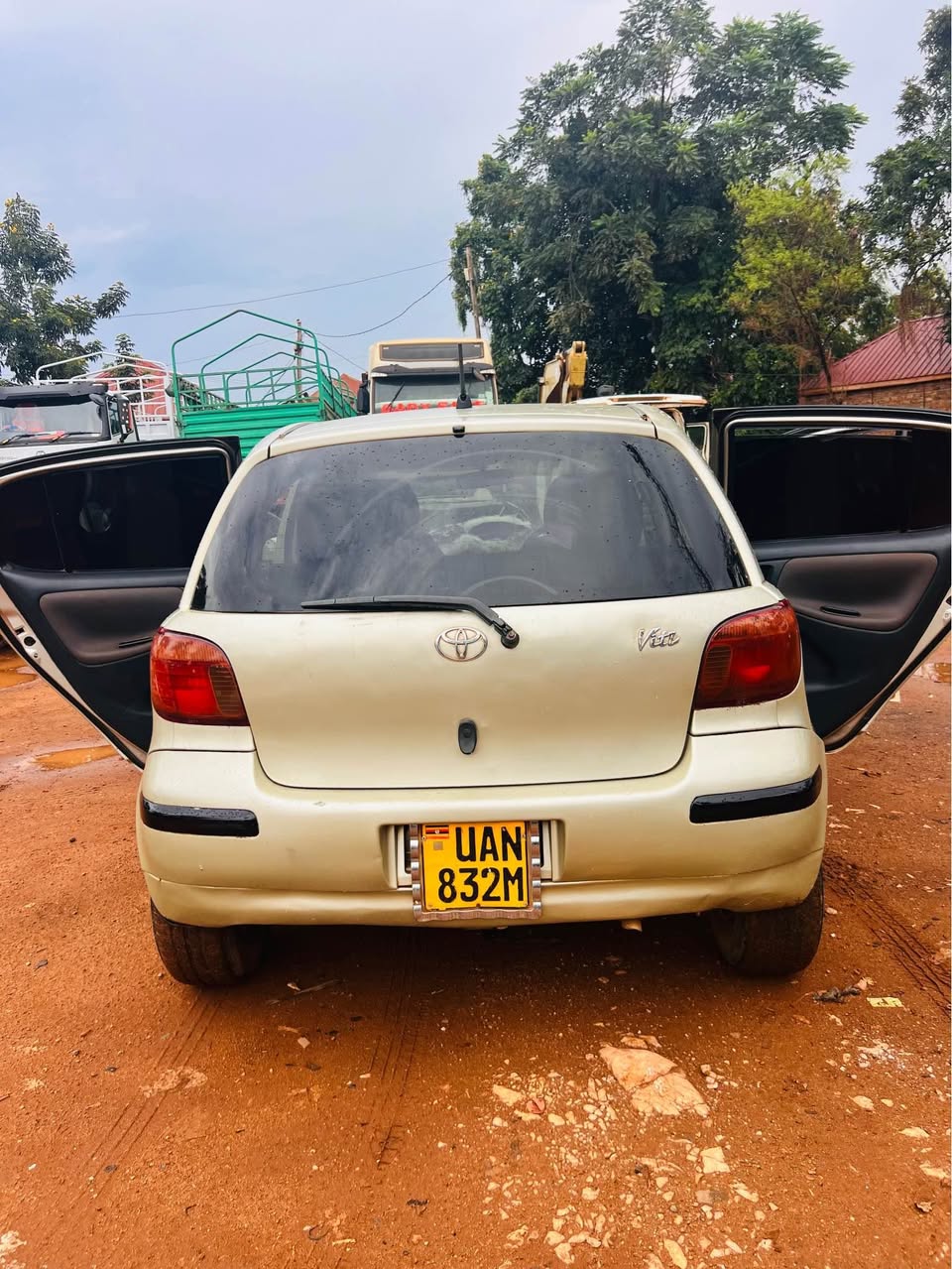 A picture of Vitz