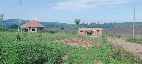 A picture of PLOTS LOCATED WAKISO GOBERO HOIMA ROAD