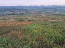 houses hoima
