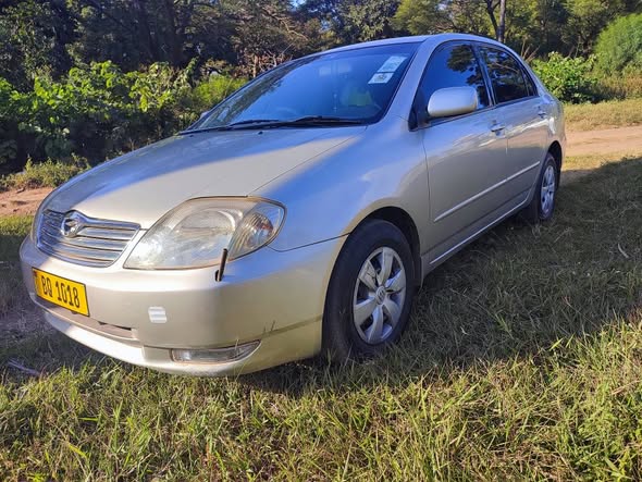used toyota corolla