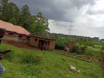 A picture of Commercial plot for rentals on quick sale