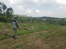 Nsamba M.