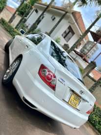 A picture of 2008 Toyota mark X