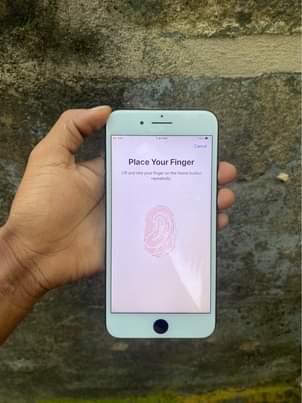 A picture of iPhone 7 Plus
