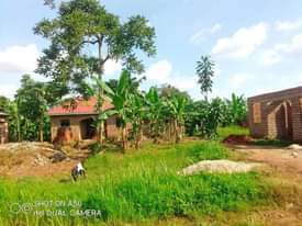 A picture of Plots on sale located at matugga gombe along matugga semuto