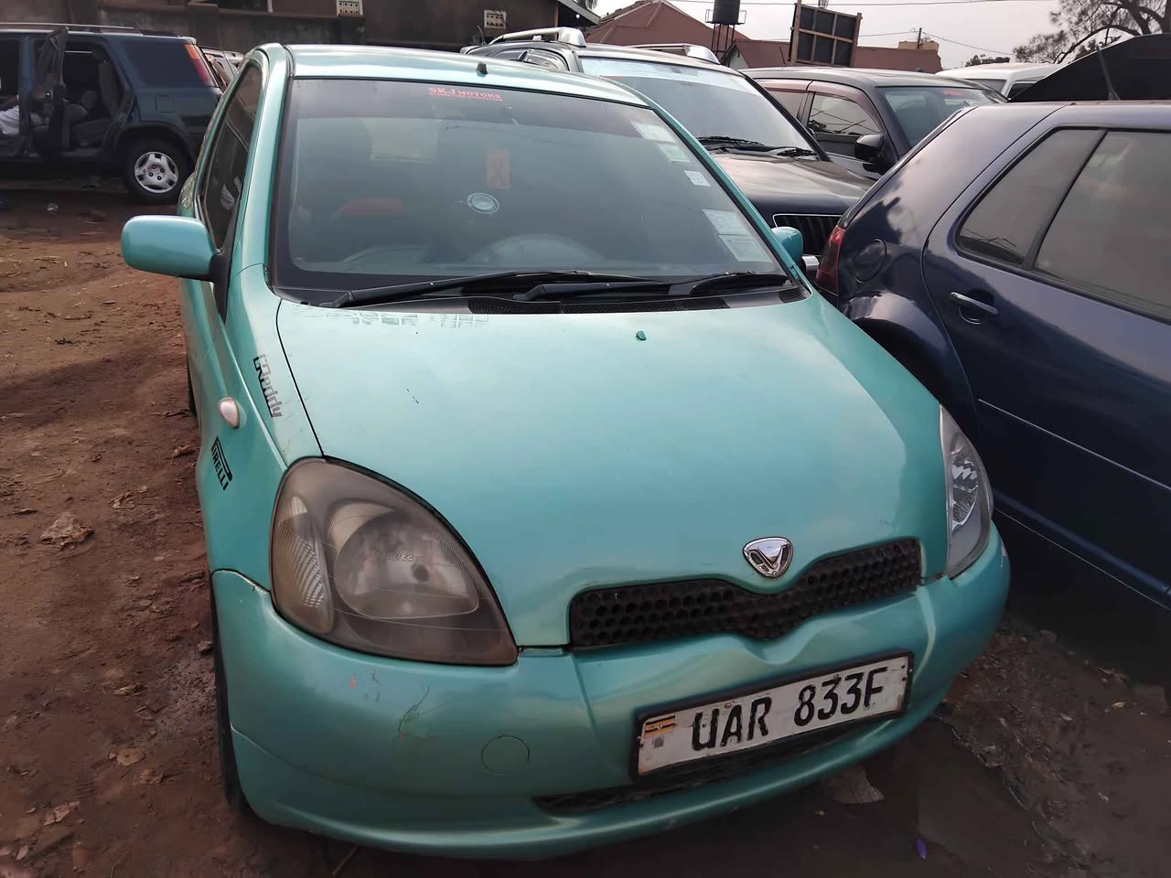 A picture of Vitz