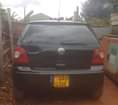 A picture of POLO 5