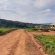 A picture of NKOWE WAKISO TOWN 50BY100 WITH READY LAND TITLE AT 25M