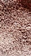 A picture of Spices